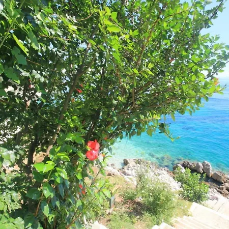 Sea Front Alexandra Lägenhet Nisaki (Corfu)
